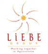 Liebe Group